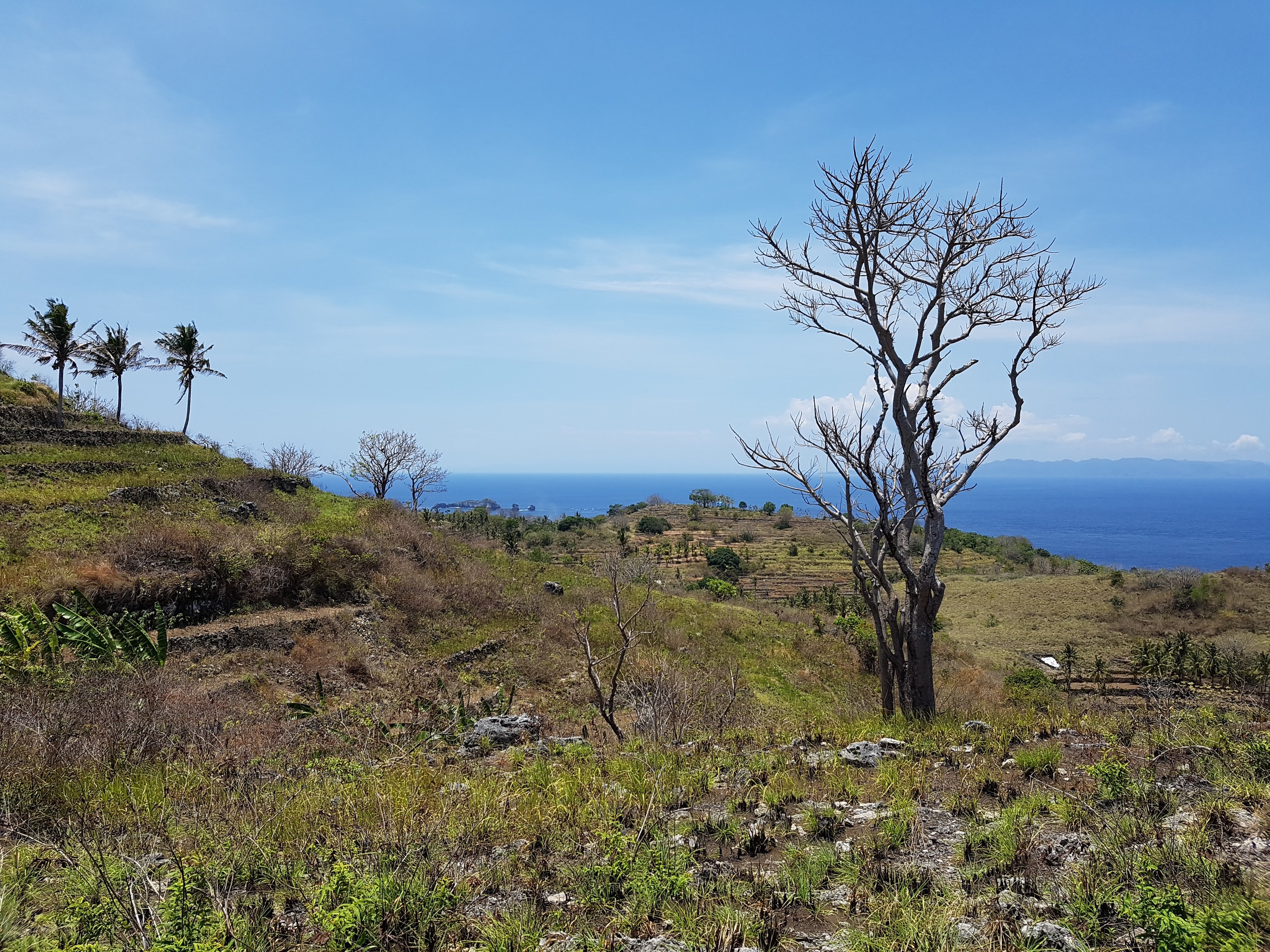 Nusa Penida Ocean View Tanah dijual Penjaban