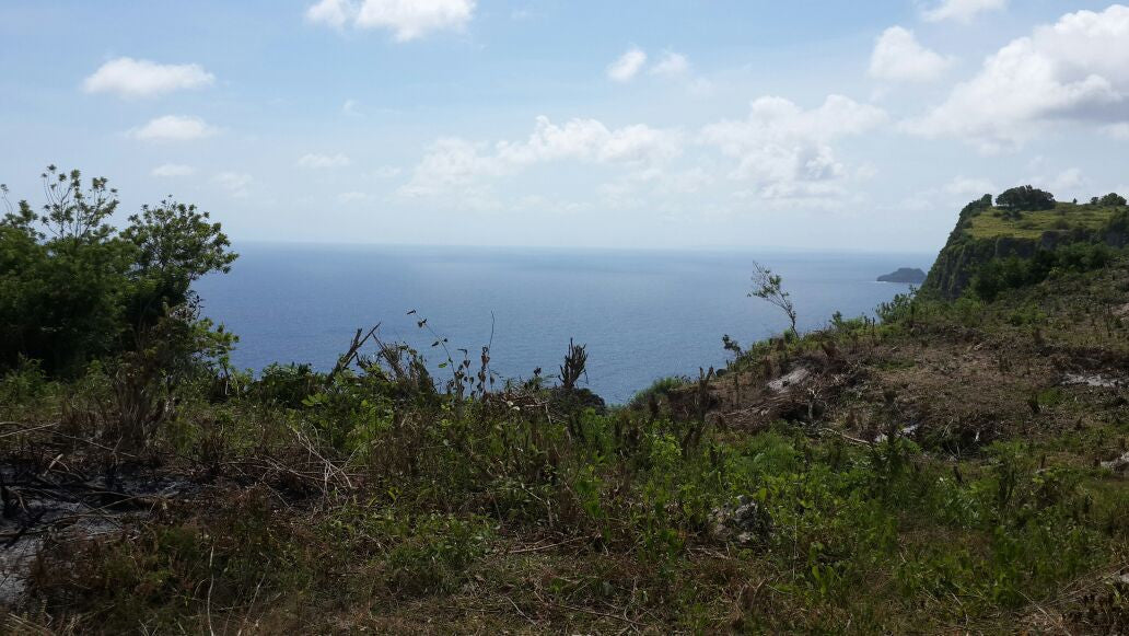 Sekartaji 2 Cliff Front.