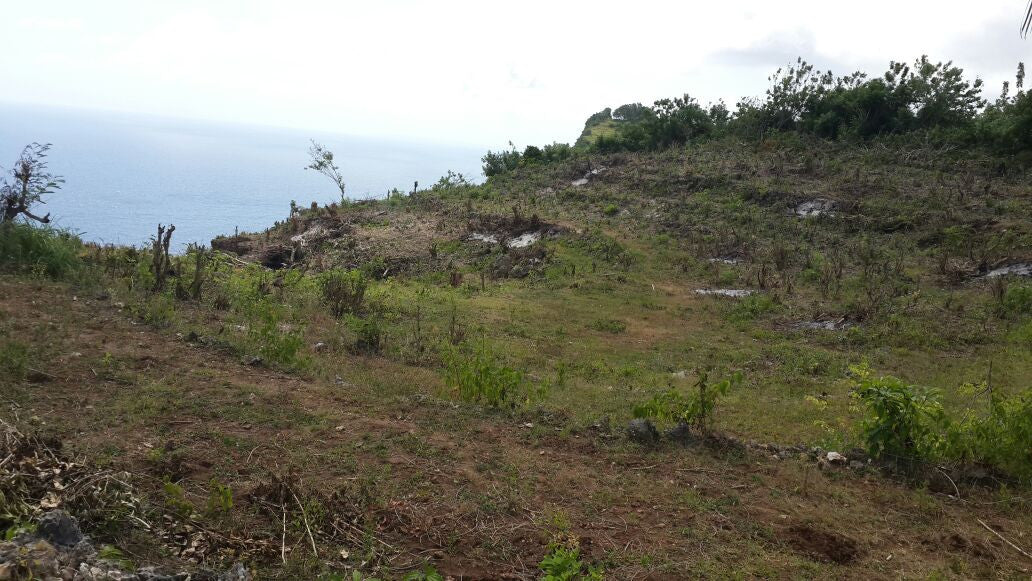 Sekartaji 2 Cliff Front.